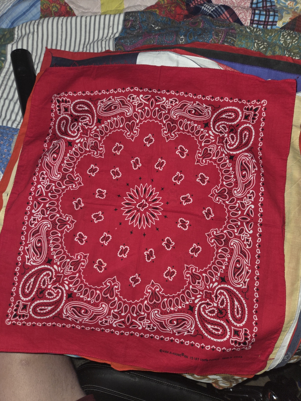 Classic Red Paisley Bandana